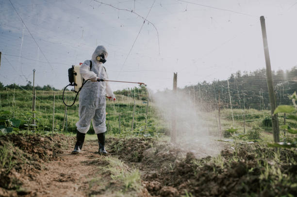 Best Ant Control Services  in Goliad, TX