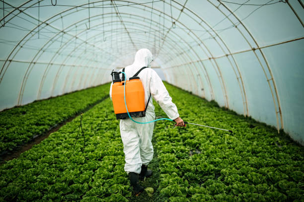 Pest Control for Restaurants in Goliad, TX