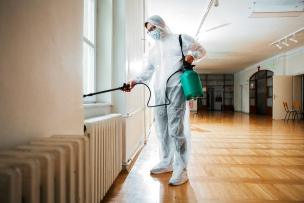 Best Pest Control Near Me in Goliad, TX