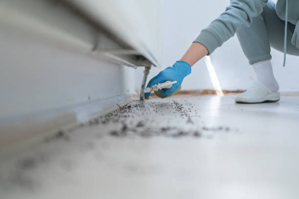 Professional Pest Control in Goliad, TX
