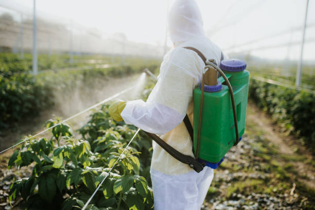 Insect Control in Goliad, TX